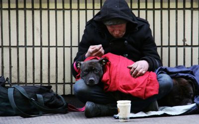 RDA NSW Submission to National Housing and Homelessness Issues Paper