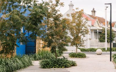 NSW Extends Urban Greening Grants Beyond Sydney – Coastal and Regional Councils to Benefit