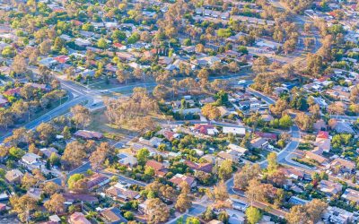 $10m tree planting boost to cool and green regional NSW cities and town centres